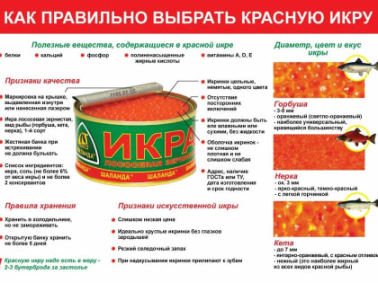 Новые тенденции в городской жизни