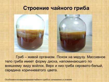Влияние новых технологий на будущее экономики