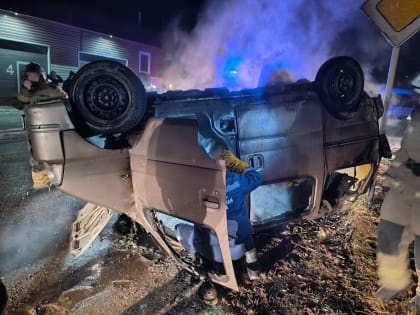 Новые меры по улучшению общественного транспорта в Москве