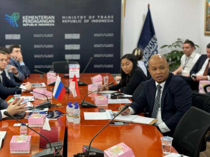 Делегация из Пермского края впервые побывала в Индонезии