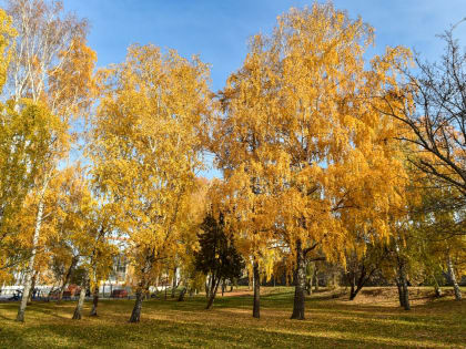 Температурные колебания в городе