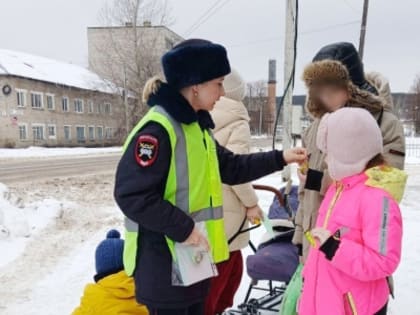 Сотрудники Госавтоинспекции Кунгура провели профилактическую акцию
