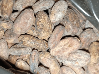 Екатеринбург принимает первую партию какао-бобов из Вьетнама