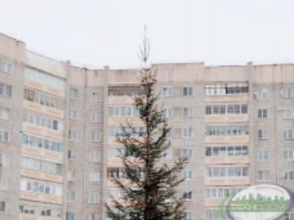 Сегодня состоится Новогодний праздник двора