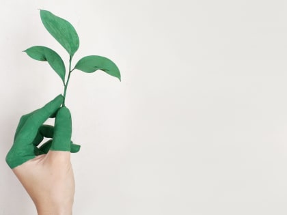 Буцаев рассказал о планах РЭО и Ecoplatform по установке фандоматов в ВШЭ