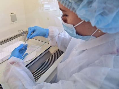 Санврачи рассказали, куда уральцы могут сдать клещей на исследование