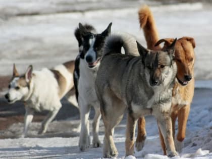 Бродячая коррекция