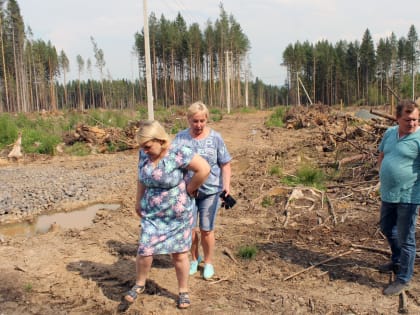 В Ревде собственники земельных участков на Промкомбинате требуют проложить к ним дорогу