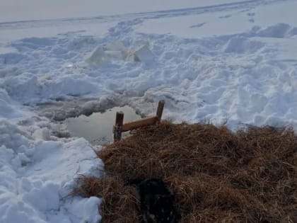 Официальных купелей в Артемовском опять не будет. А почему?