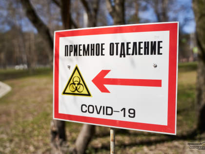 В Свердловской области за неделю число выявленных случаев коронавируса выросло на 56%