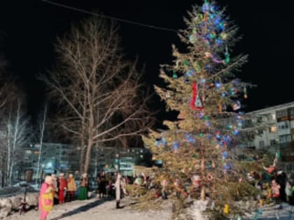 Новогодние поздравления во дворах