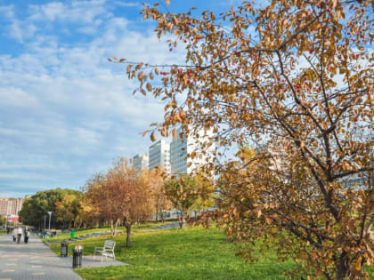 Арт объект, пляж или зона для ловли рыбы? Жителям Первоуральска предлагают выбрать, что будет на городской набережной