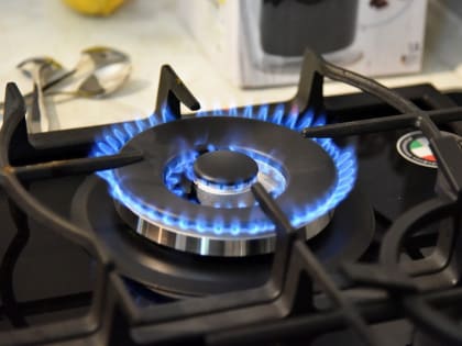 Минстрой попросили изменить порядок оплаты обслуживания газового оборудования