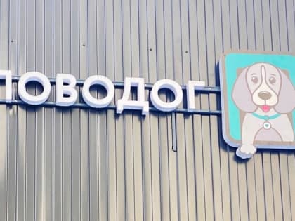 Для животных — домашних и бездомных: в Краснотурьинске открыли современный ветеринарный центр