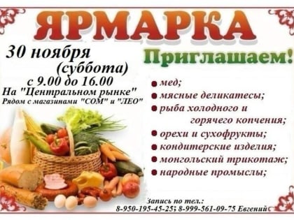 Финальный матч ноября: ожидаемое событие в спортивной жизни