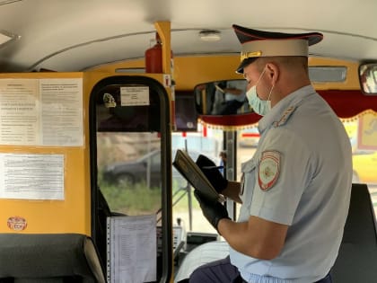 Безопасность школьников на дорогах