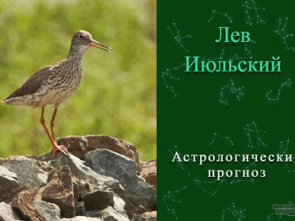 Девиз 29 апреля: в этой жизни нужно научиться ловить только удачные моменты