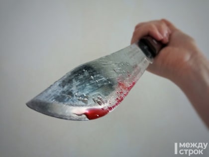 В Нижнем Тагиле мужчина зарезал соседа