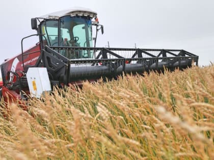 На Среднем Урале увеличен размер подъемных выплат для молодых аграриев