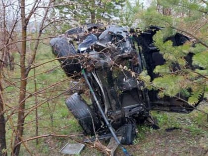 В ДТП погибла девочка