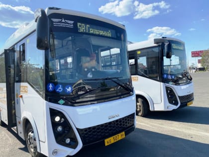 Развитие муниципального транспорта в Нижнем Тагиле