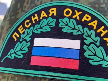 Первые нарушения правил пожарной безопасности выявили лесные инспекторы на Среднем Урале