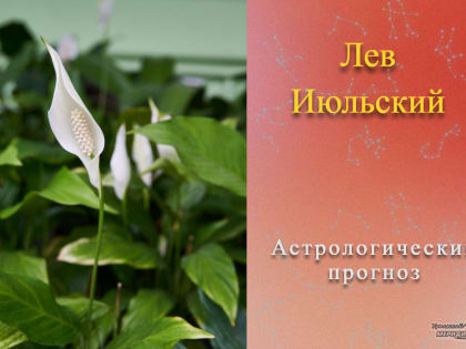 Если 15 июля наглость для человека – это второе счастье, тогда страшно подумать, что для него значит первое