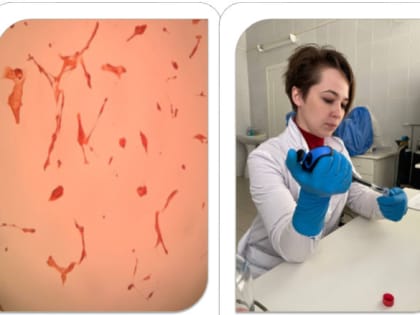 1 место в конкурсе научно-исследовательских работ «ЭСТАФЕТА ВУЗОВСКОЙ НАУКИ – 2023» 