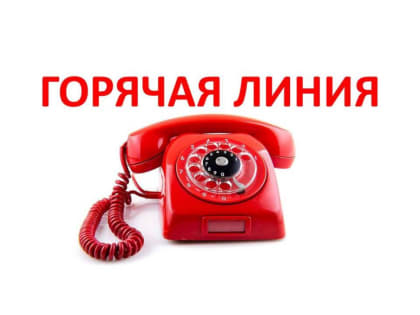 Телефон “горячей линии” по летнему оздоровлению