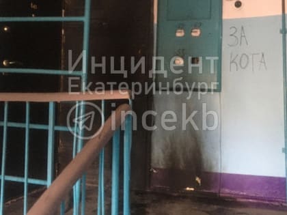 В Реже неизвестные подпалили дверь у издевавшегося над котом блогера
