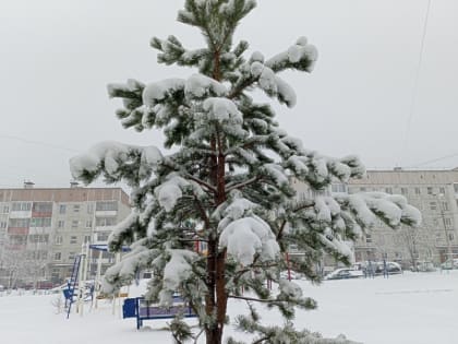 1 мая отменяются праздничные мероприятия на центральной площади