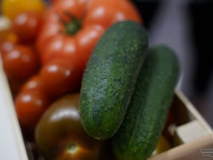На Среднем Урале подорожали резко огурцы