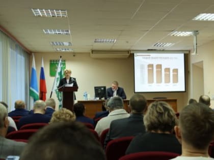 Березовский отдаст Режу свою часть СНТ «Северный»