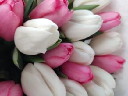 Глава Берёзовского городского округа Евгений Писцов поздравил березовчанок с Международным женским днём