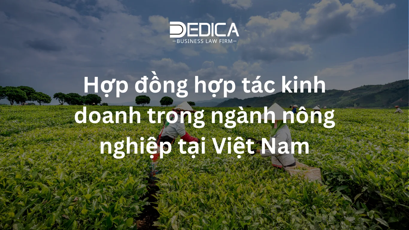 ảnh website dedica - 2025-12-02T150113.047.webp