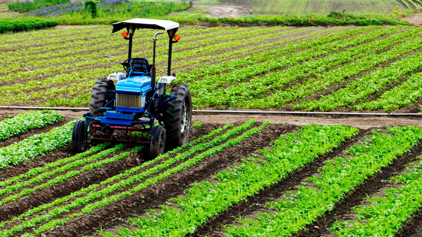 ảnh website dedica - 2025-12-02T150129.348.webp