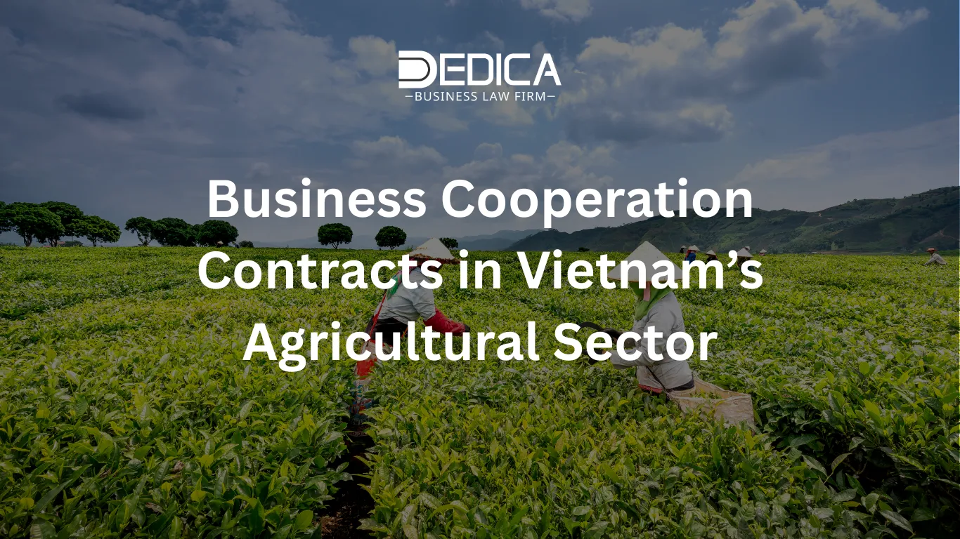 ảnh website dedica - 2025-12-02T152248.875.webp