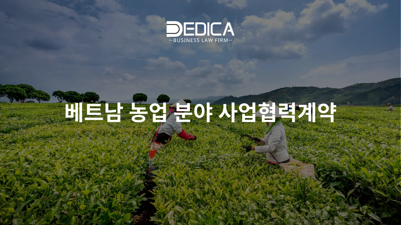 ảnh website dedica - 2025-12-02T154323.171.webp