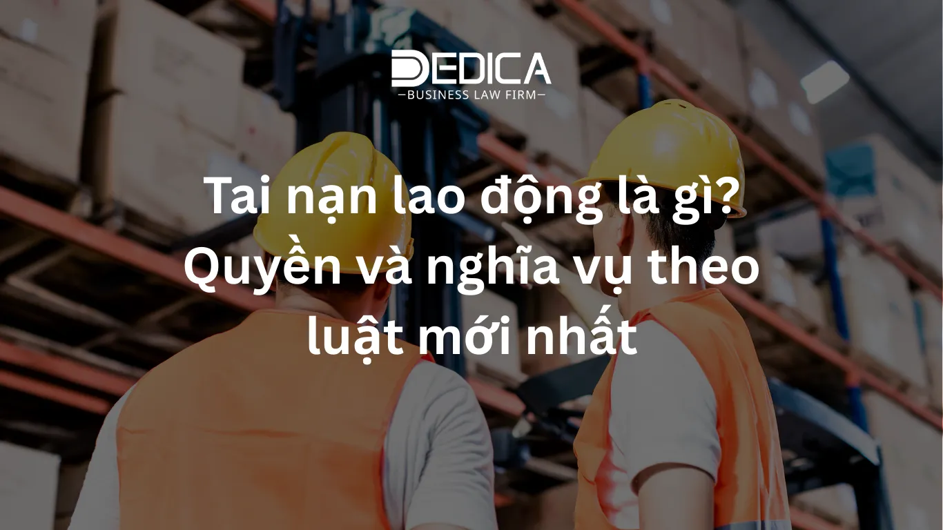 ảnh website dedica - 2025-12-17T142228.425.webp