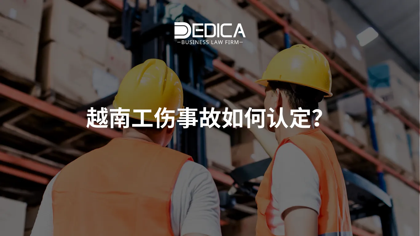 ảnh website dedica - 2025-12-17T154831.455.webp