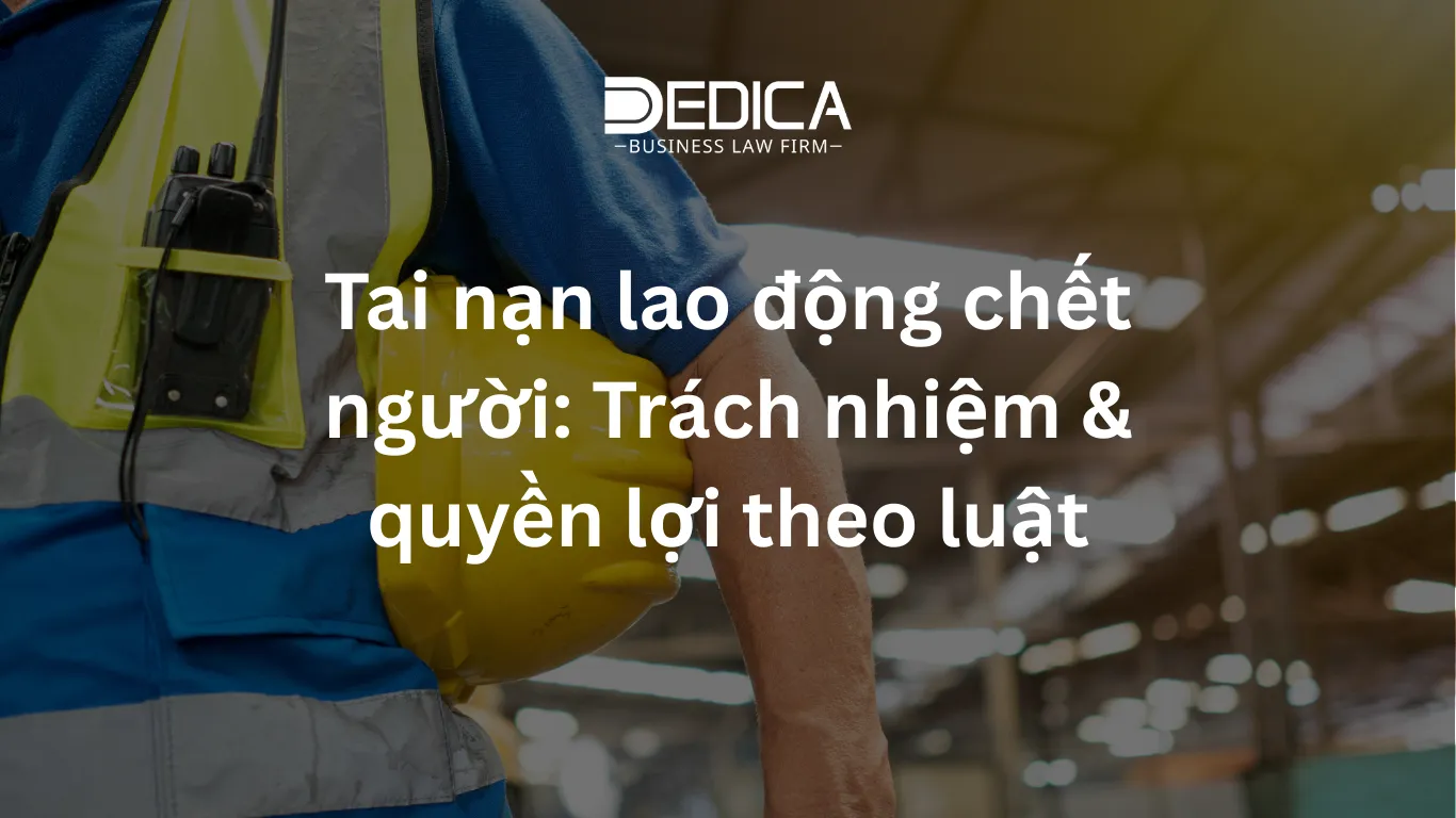 ảnh website dedica - 2025-12-18T091903.132.webp