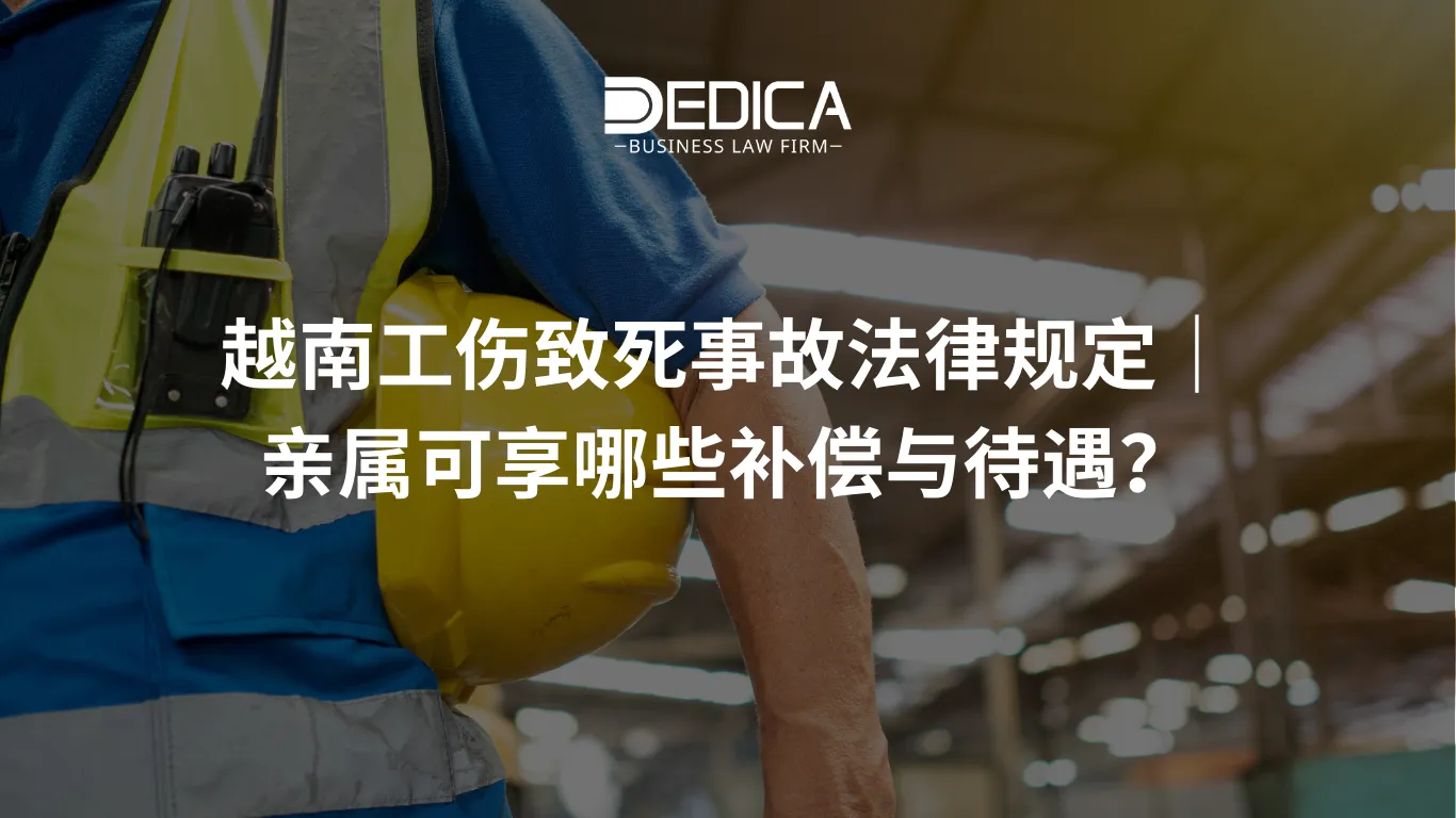 ảnh website dedica - 2025-12-18T094127.028.webp