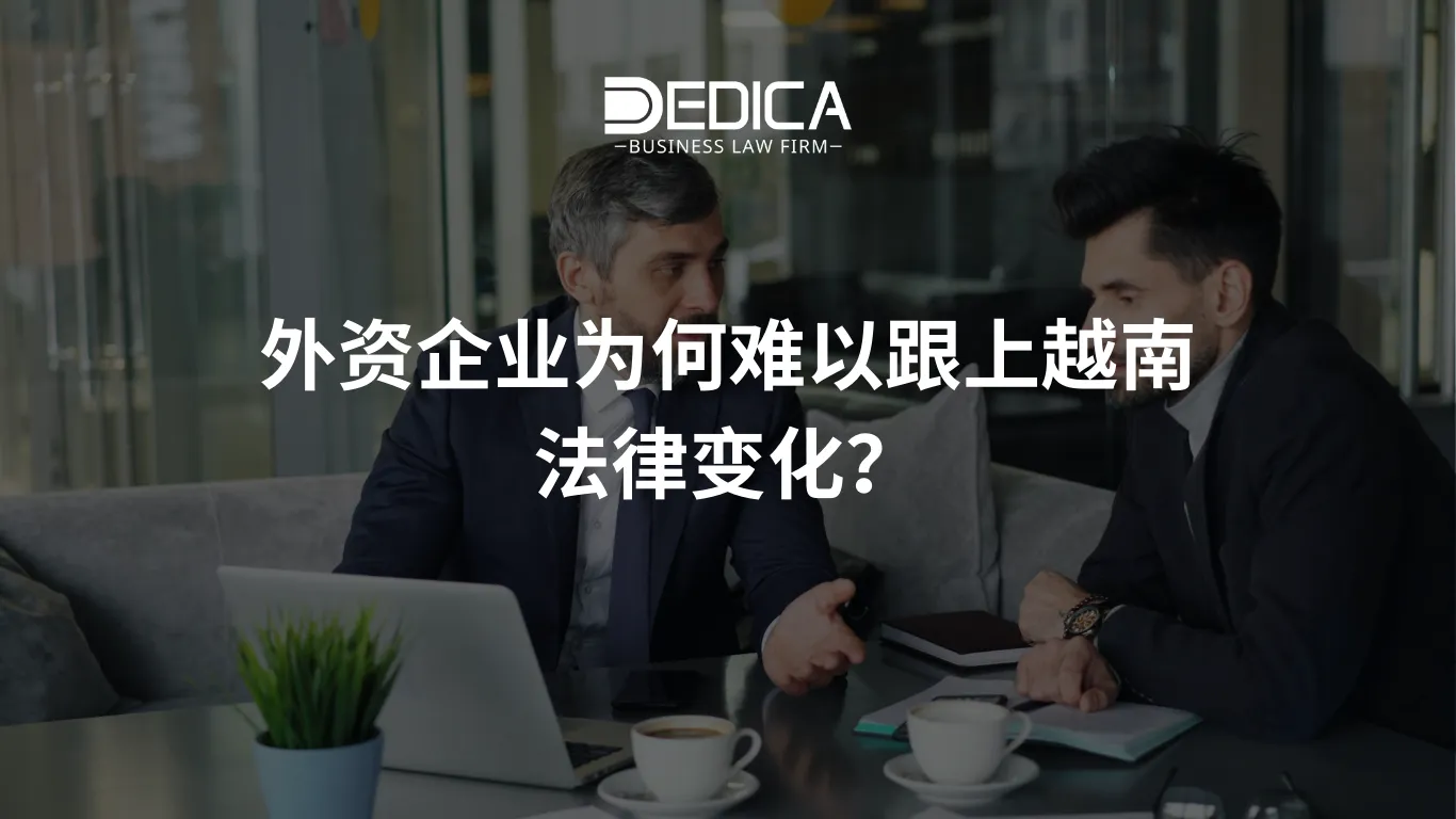 ảnh website dedica - 2025-12-24T142512.293.webp