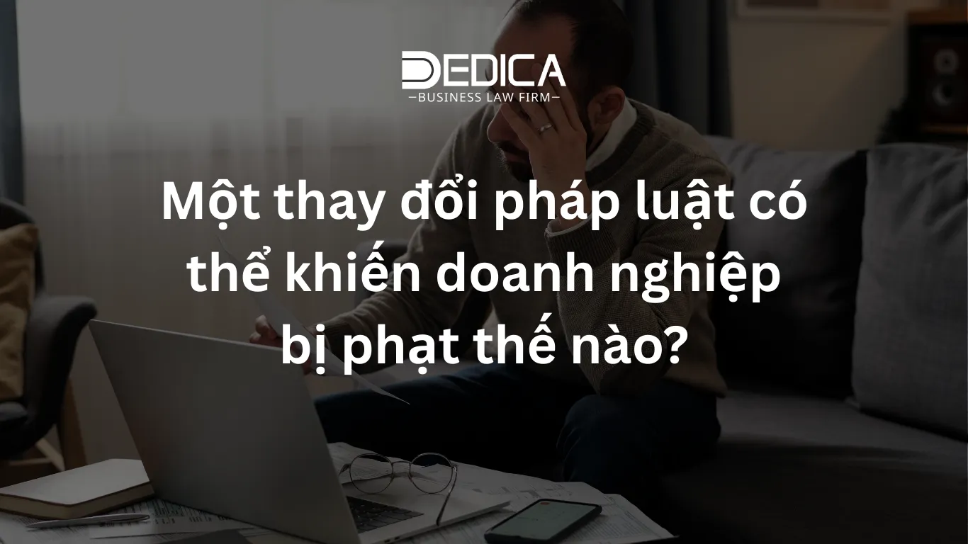 ảnh website dedica - 2025-12-24T161400.441.webp