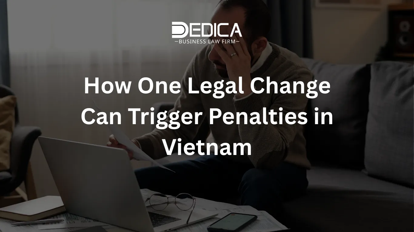 ảnh website dedica - 2025-12-24T163621.861.webp