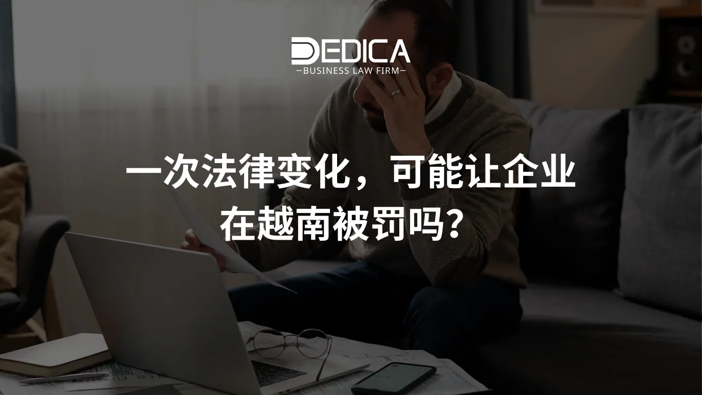 ảnh website dedica - 2025-12-24T165424.665.webp