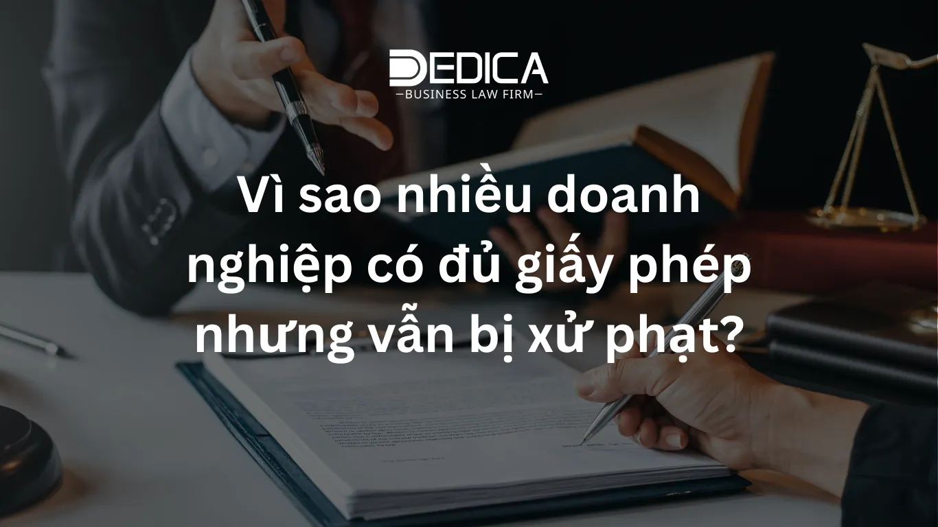 ảnh website dedica - 2025-12-26T150746.724.webp