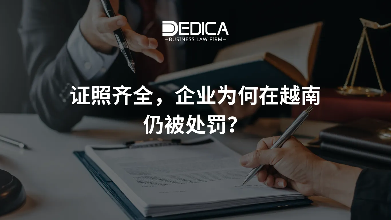 ảnh website dedica - 2025-12-26T154720.043.webp