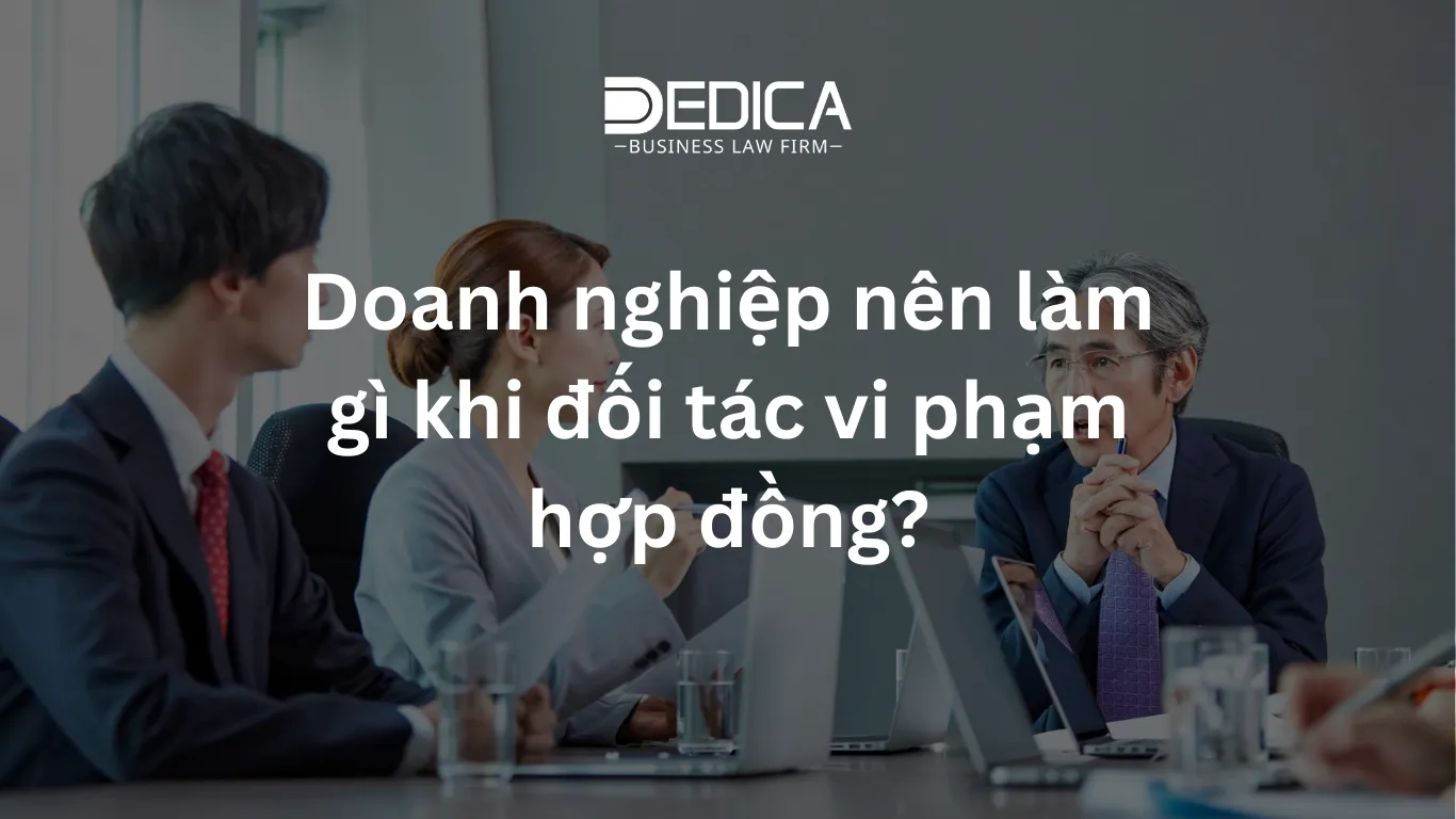 ảnh website dedica - 2025-12-29T152050.491.webp