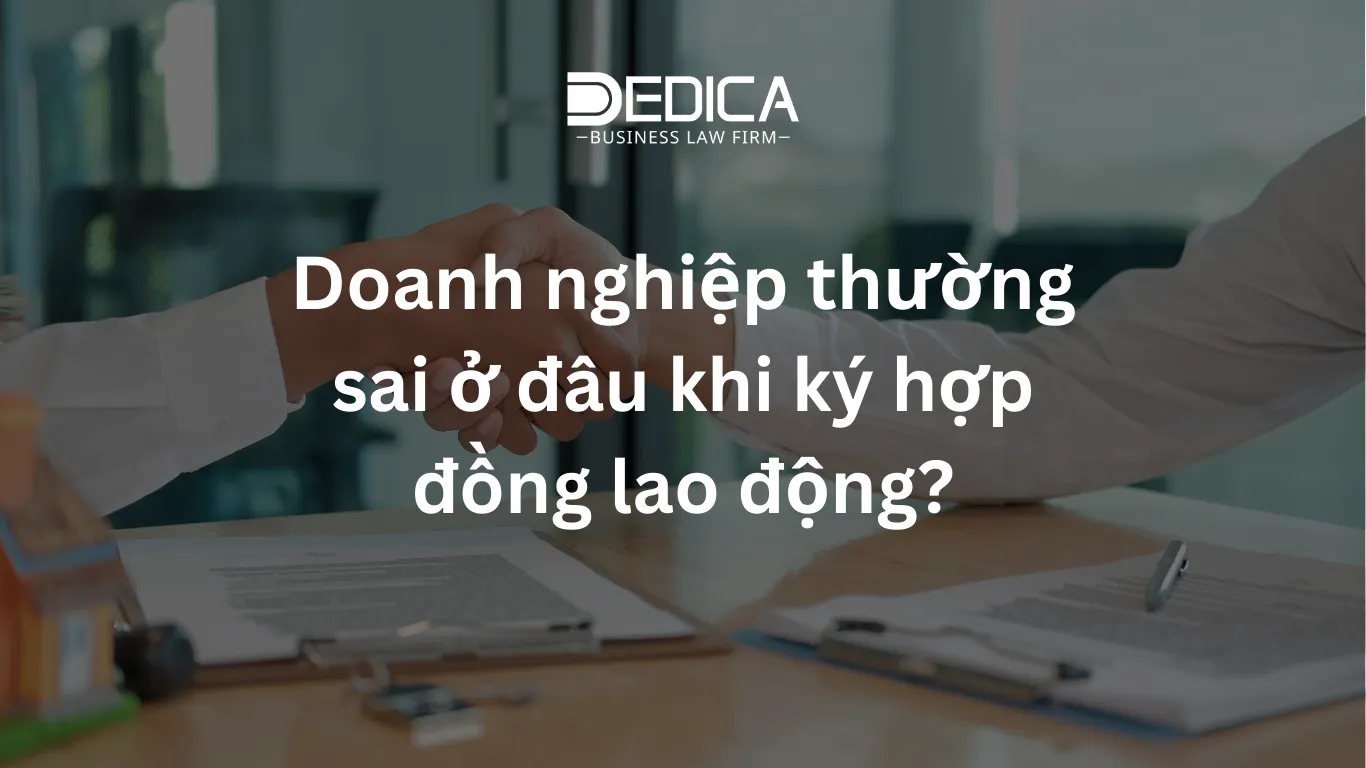 ảnh website dedica - 2025-12-30T094628.014.webp